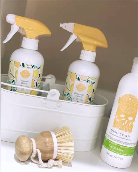 Scentsy Clean Products Scentsy Cleaning Products Cleaning Bathroom