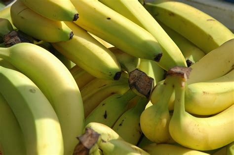 Bunch Of Bananas Free Stock Photo Public Domain Pictures