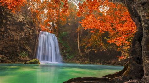Waterfalls Surrounded By Red Leaf Trees Hd Wallpaper Wallpaper Flare