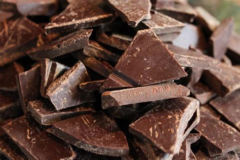Cocoa Brain Study Reveals How Chocolate Helps Human Cognition