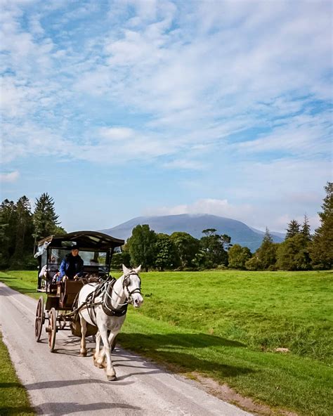 Explore Killarney Top Activities For A Memorable Irish Adventure