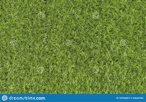 Green Grass Background Texture Top View Stock Image Image Of Grassy