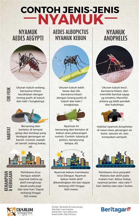 Fakta Nyamuk Aedes Aegypti