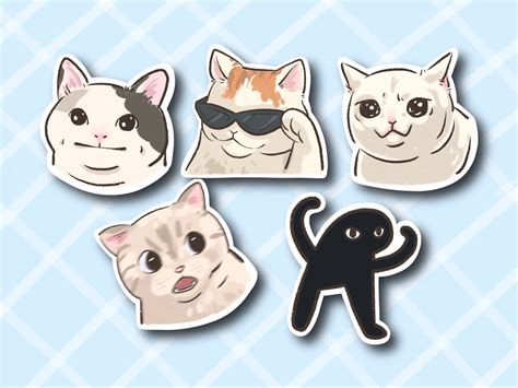 Cat Meme 5 Piece Set Funny Meme Sticker Polite Cat Sunglasses Cat Teary
