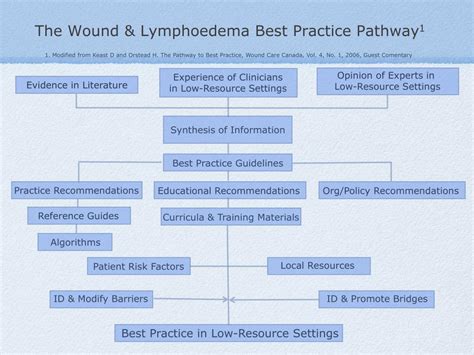 Ppt Best Practice In Wound And Lymphoedema Care In Low Resource