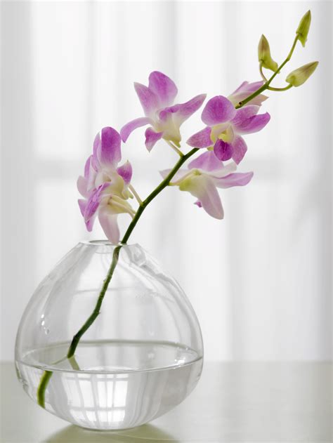 Maybe you would like to learn more about one of these? How to Make Silk Flower Arrangements With Clear Acrylic | eHow