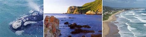 The garden route stretches from mossel bay to storms river mouth. Garden Route South Africa Guide, Accommodation in the ...