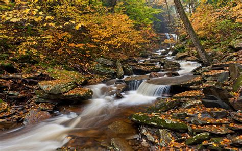 Ricketts Glen State Park Pennsylvania United States Autumn Photography