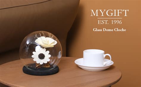 Myt Clear Glass 6 Inch Terrarium And Keepsake Display Globe With Black Stain Wood Base Amazon