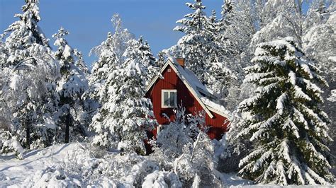 Download Wallpaper 1920x1080 Lodge Snow Trees Winter Snowdrifts