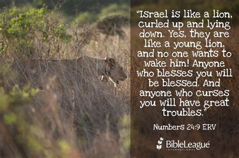 an image of a lion in the grass with bible verse