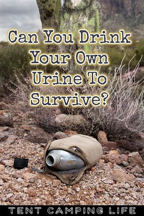 Can You Drink Your Own Urine To Survive Tent Camping Life
