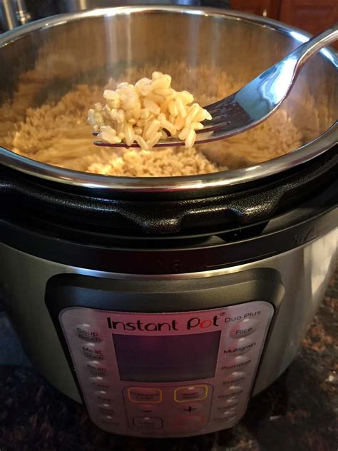 Instant Pot Brown Rice How To Cook Brown Rice In A Pressure Cooker