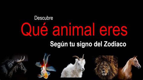 Descubre Qué Animal Eres Según Tu Signo Del Zodiaco Youtube