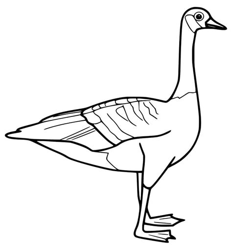goose coloring page home design ideas