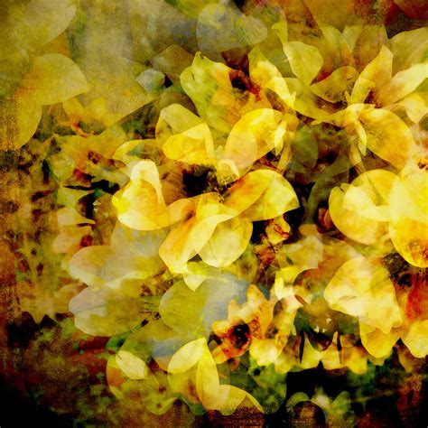 Summer Bloom Abstract Flower Art Digital Art By Ann Powell Fine Art