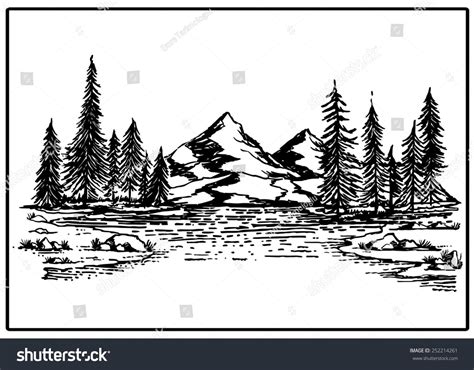 Mountain Lake Forest Pine Trees Rock Vector Illustration Pine Tree