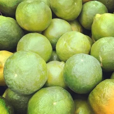 Maharashtra Mandarin Oranges At Rs 70000metric Ton In Nagpur Id