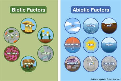 There are a number of factors that influence organisms and other living things. environment: biotic and abiotic factors - Students ...
