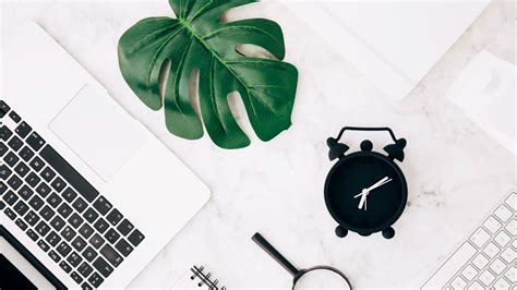 Boost Team Productivity: Secret Weapon of Nature Retreats