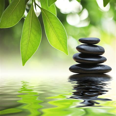 Stressed Out Zen Pictures To Help You Relax And Restore Your Wellbeing