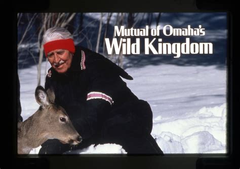 Mutual Of Omahas Wild Kingdom Sundays Were The Greatest Wild