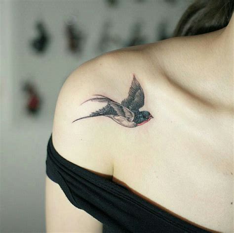 Pin By Loki Dandelion On Tattoo Bird Shoulder Tattoos Bird Tattoos