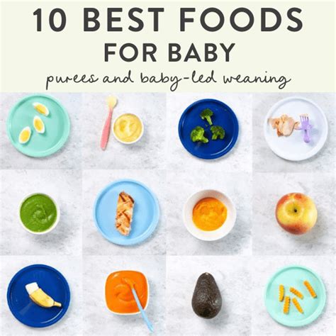 Best First Foods For Baby Purees And Blw Baby Foode