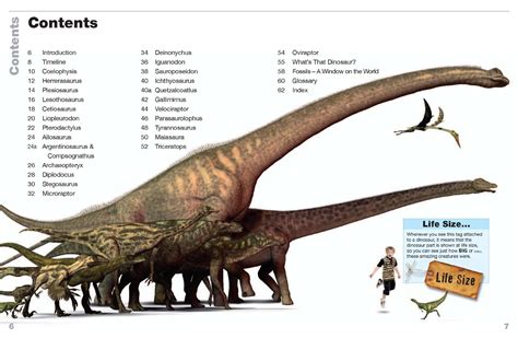How Big Is Your Favorite Dinosaur Find Out Here Paleoaerie