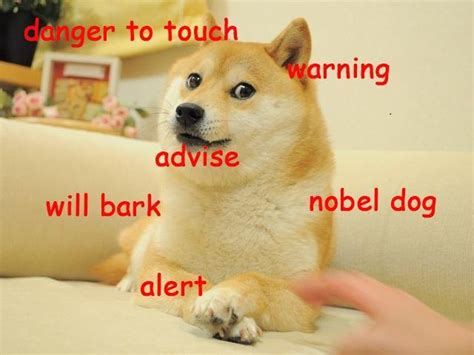 Image 582539 Doge Know Your Meme