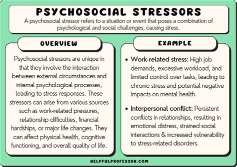 Psychosocial Stressors Examples Definition Overview