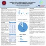 Laparoscopic Common Bile Duct Exploration Results From A Community