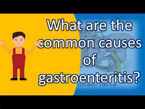They infect enterocytes in the villous epithelium of the small bowel. What are the common causes of gastroenteritis ? |Health ...
