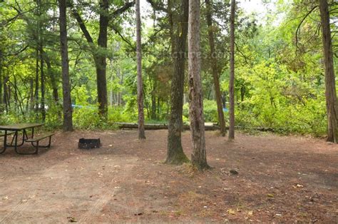 The Pinery Dunes Camping In Ontario Parks Ontario Parks The Pinery