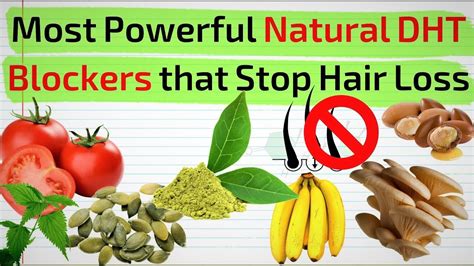 most powerful natural dht blockers that stop hair loss youtube