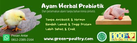 More images for minuman herbal ketumbar » Minuman Herbal Ketumbar / Jual Stok Baru Minuman Sebuk ...