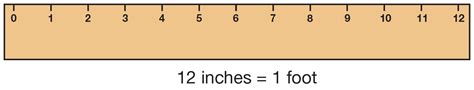 Search Results 15 Inch Ruler Actual Size Besttemplatess