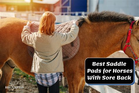 7 Best Saddle Pad For Horse With Sore Back 2023 Review
