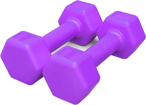 Dumbbell Hand Weights Solid Dumbbell Pair Fitness Hand