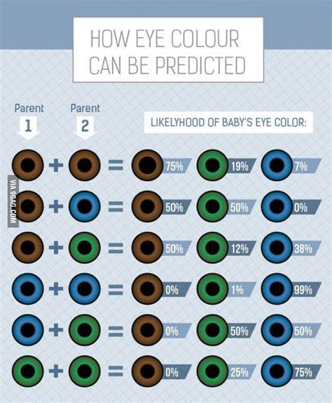 Eye Color Probability Chart 9gag
