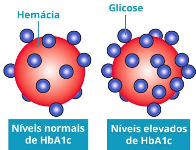 Entendendo a Hemoglobina Glicada Mayara Camêlo