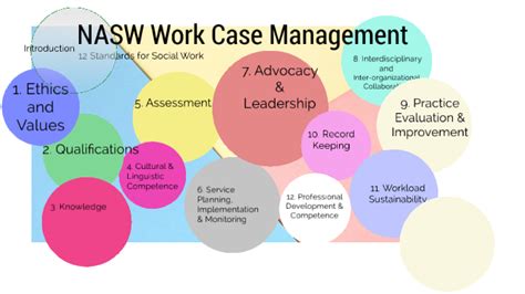 Nasw Social Work Case Management By Rebecca Lewis
