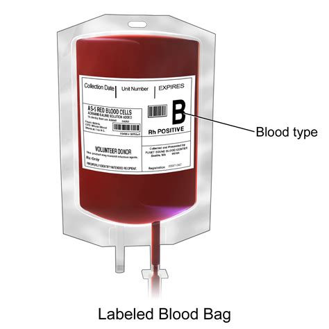 Blood Transfusion Therapy Rnpedia