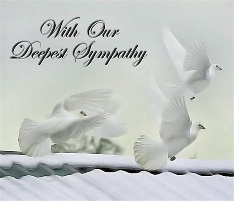 Our Deepest Sympathy Quotes Quotesgram