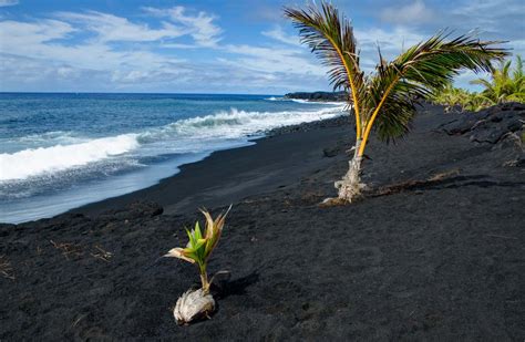 Black Sand Beaches On The Big Island Hawaii Traveladvo