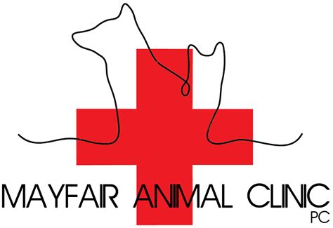 Chicago Pet Clinic Chicago Il 60641 / Ace Animal Hospital Chicago Il : Furnetic/chicago center ...