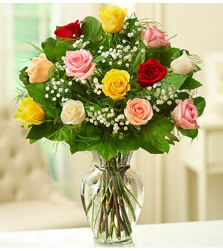 Rose Elegance™ Premium Assorted Roses Send To Houston Tx Today