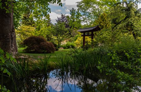 30 schön japanischer garten ideen. Japanischer Garten Leverkusen Foto & Bild | deutschland ...