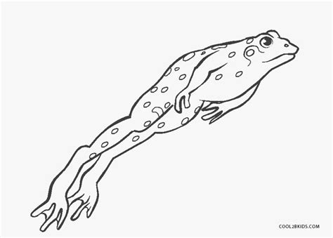 Free Printable Frog Coloring Pages For Kids Cool2bkids
