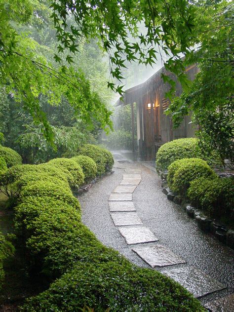 Millions of people use rainy mood while sleeping, studying, and relaxing. Rainy Day, Kyoto, Japan photo on Sunsurfer